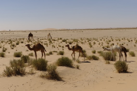 Mauritania