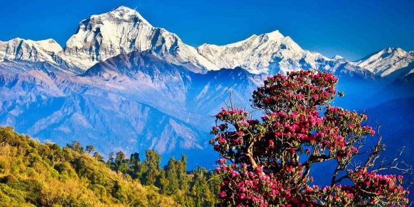 Nepal